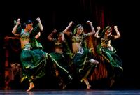 Индийские танцы - фото 634