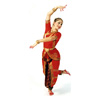 Видео уроки индийские танцы